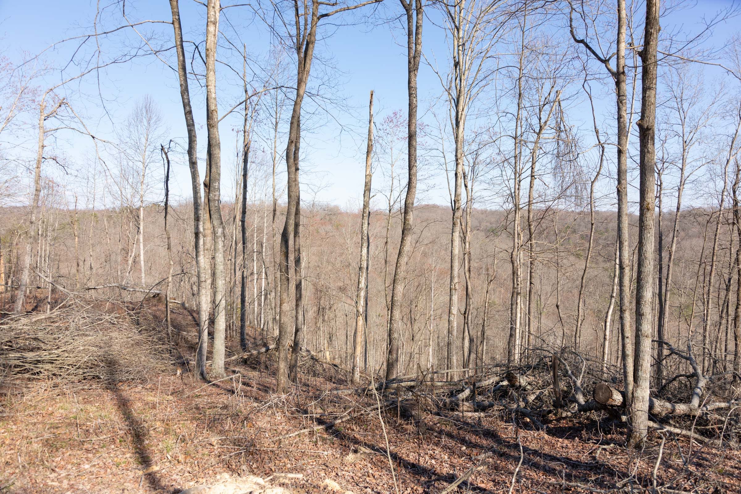 Creek Hollow Phase I Tract 19 photo 7