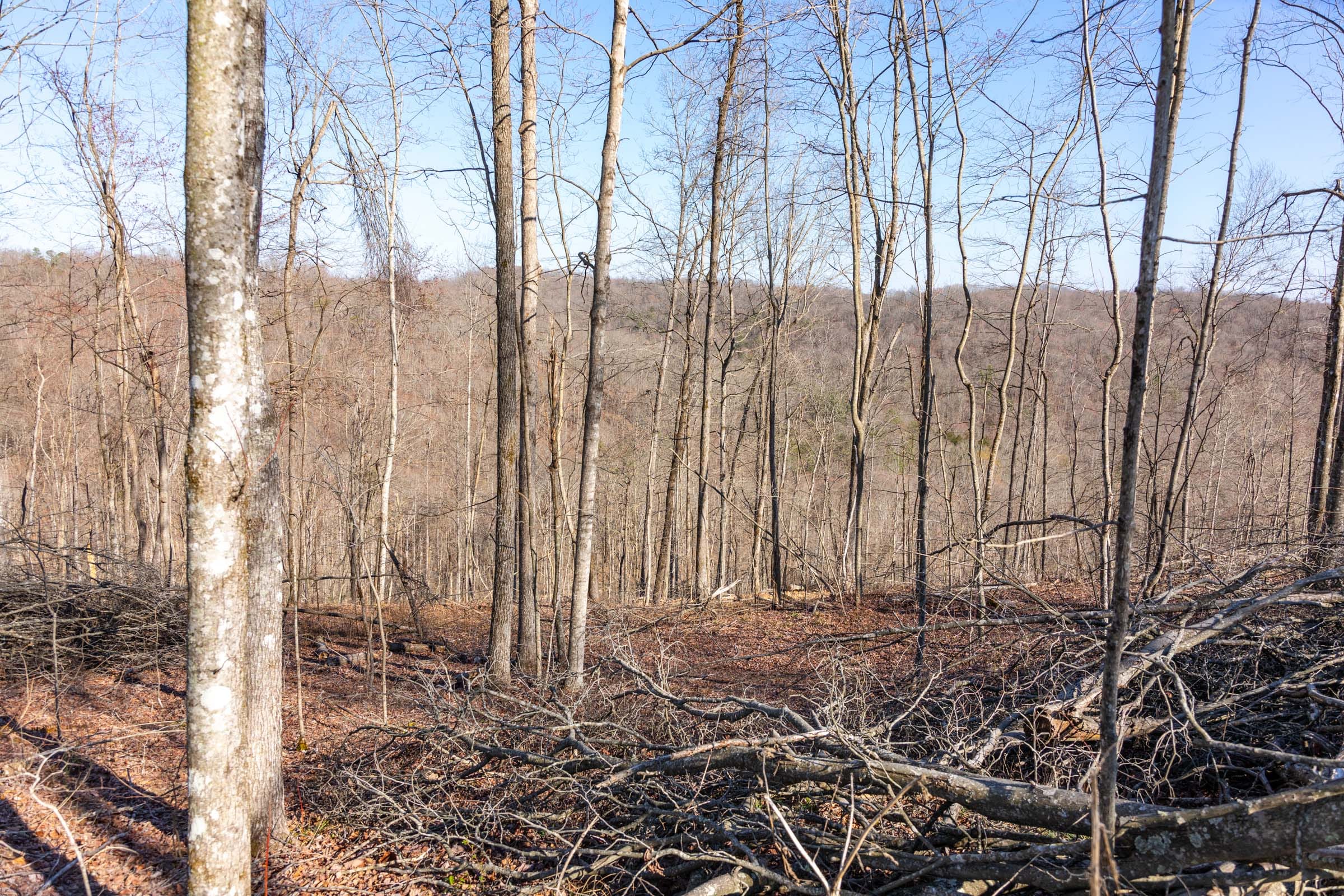 Creek Hollow Phase I Tract 19 photo 8