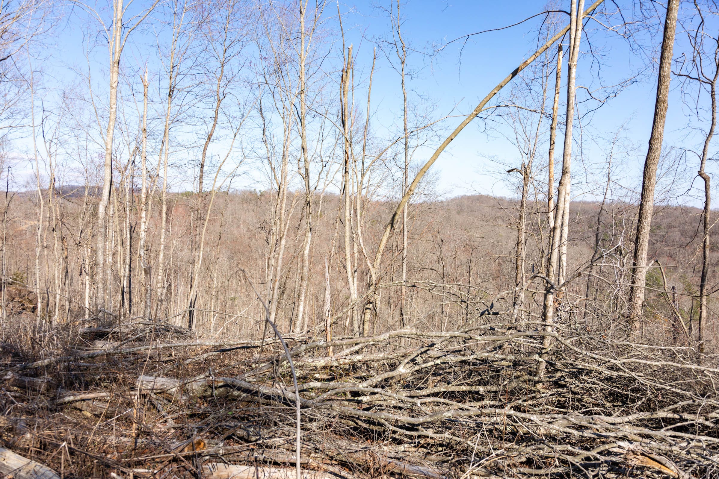 Creek Hollow Phase I Tract 19 photo 9
