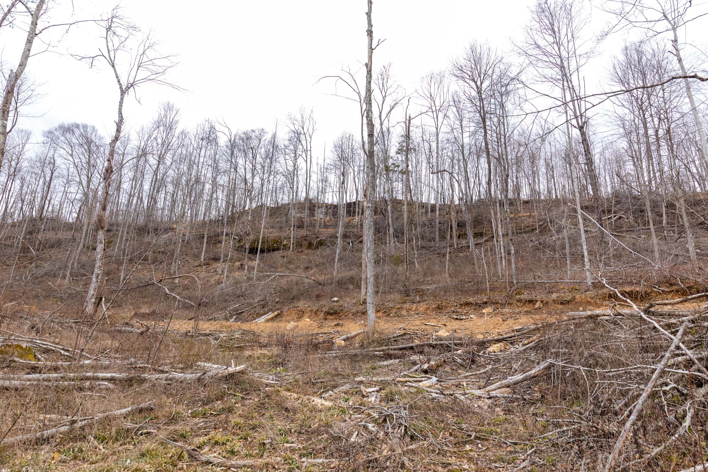 Creek Hollow Phase I Tract 19 photo 11