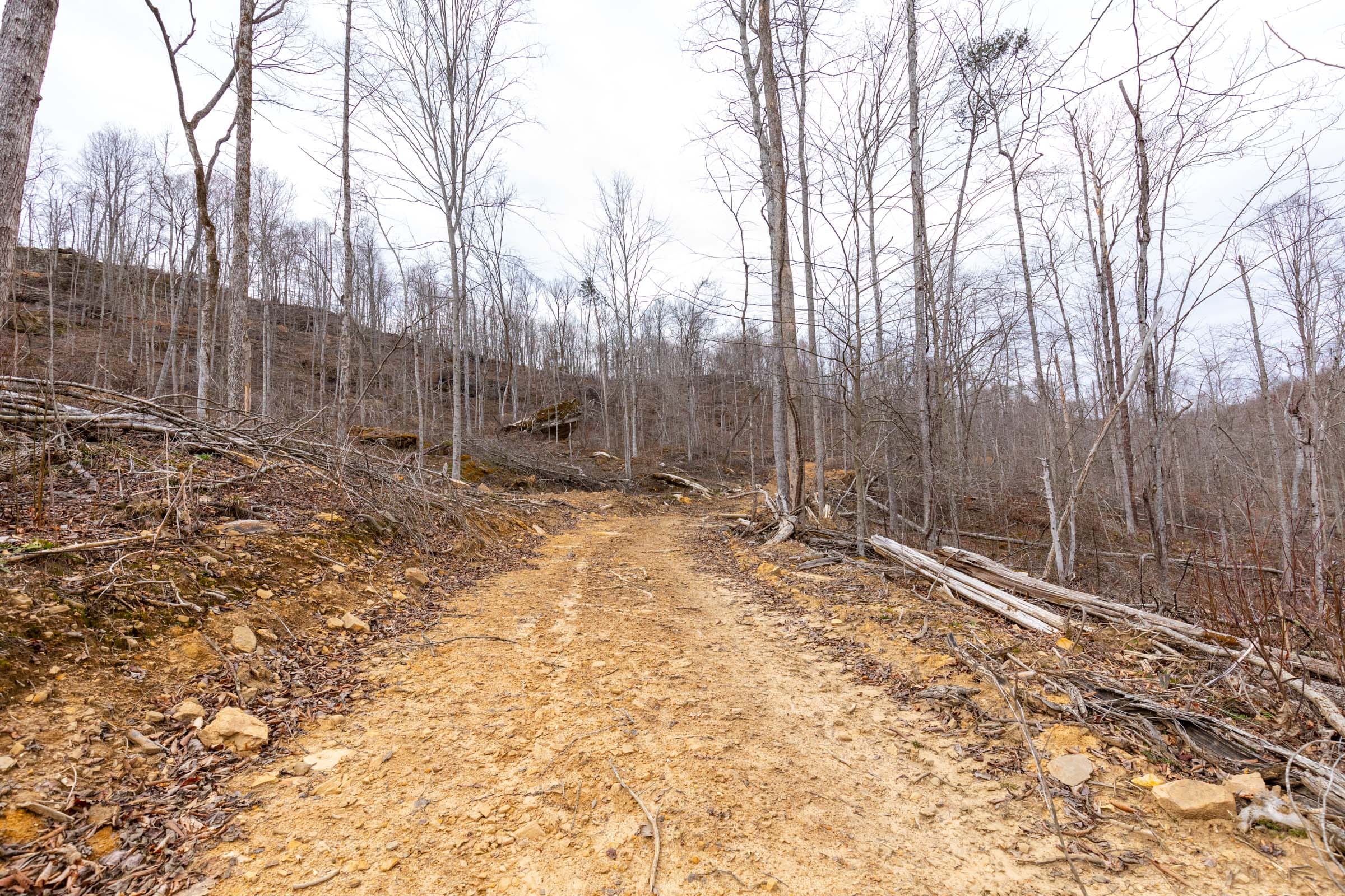 Creek Hollow Phase I Tract 19 photo 10