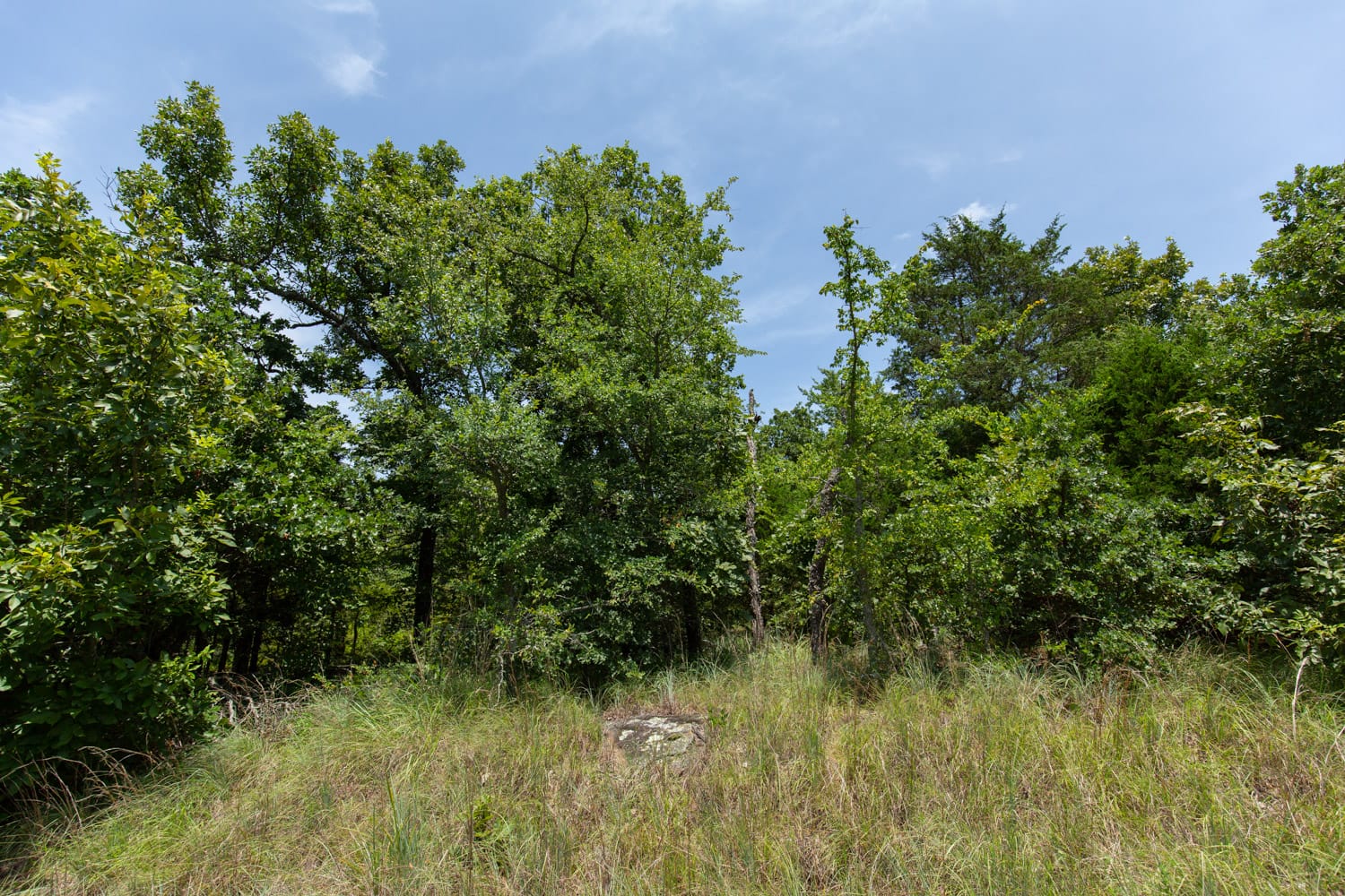 Timber Ridge Tract 51 photo 1