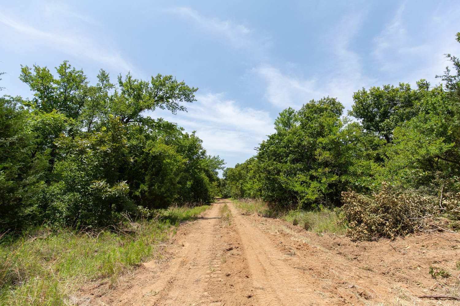 Timber Ridge Tract 51 photo 2