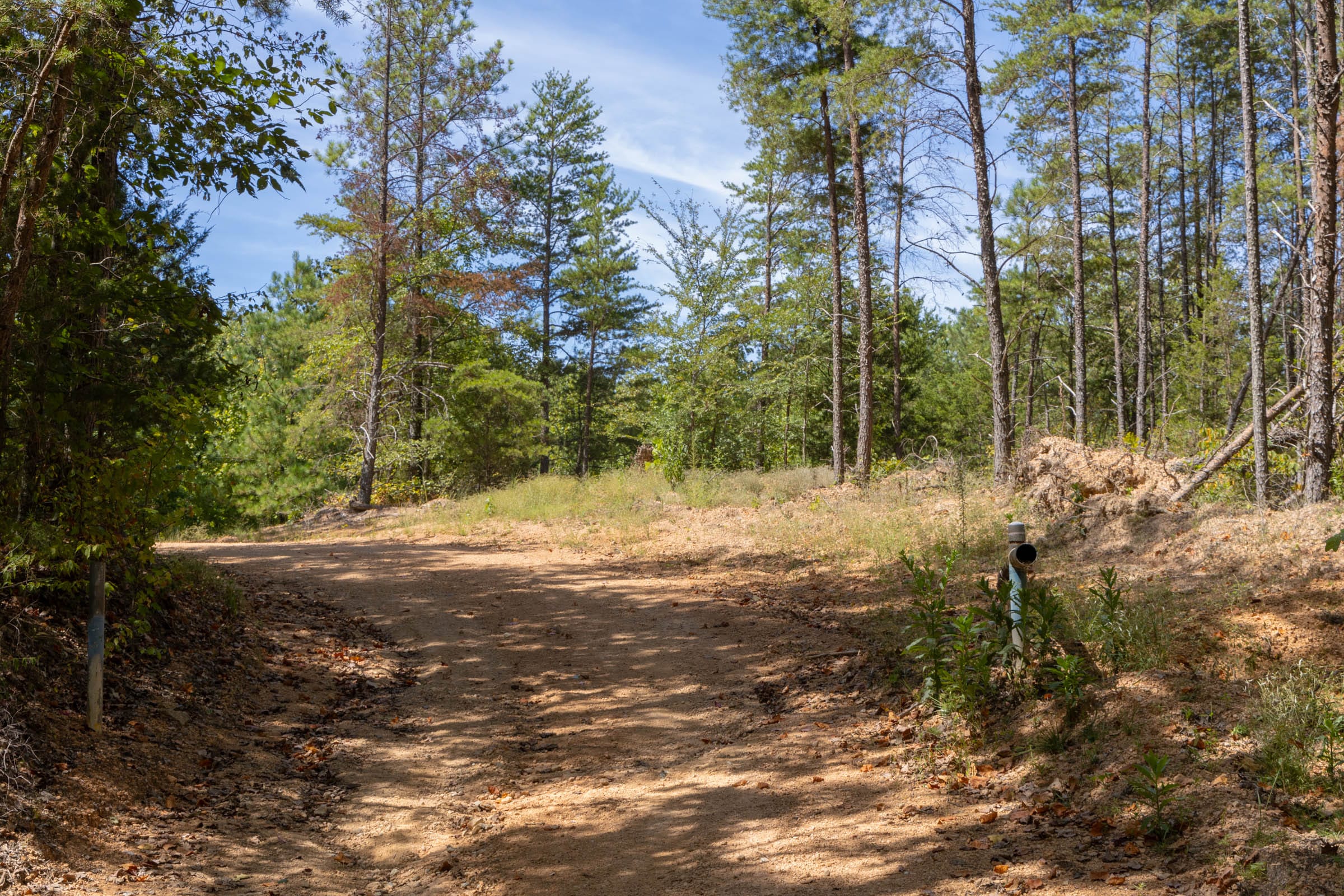 Big White Oak Tract 29 photo 8