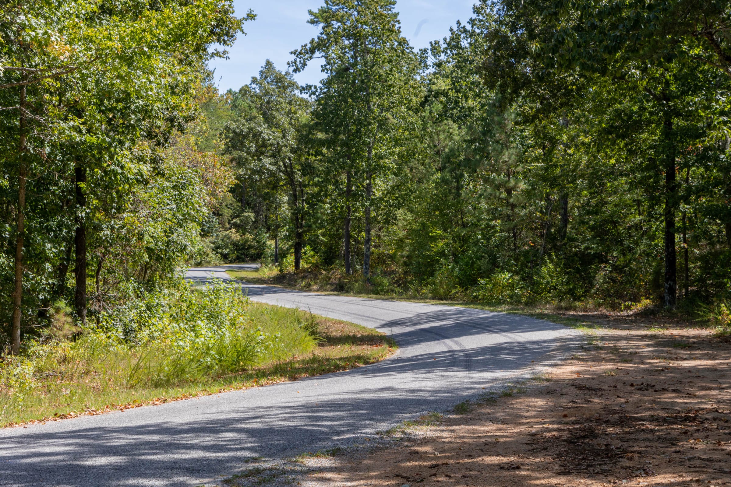 Big White Oak Tract 29 photo 1
