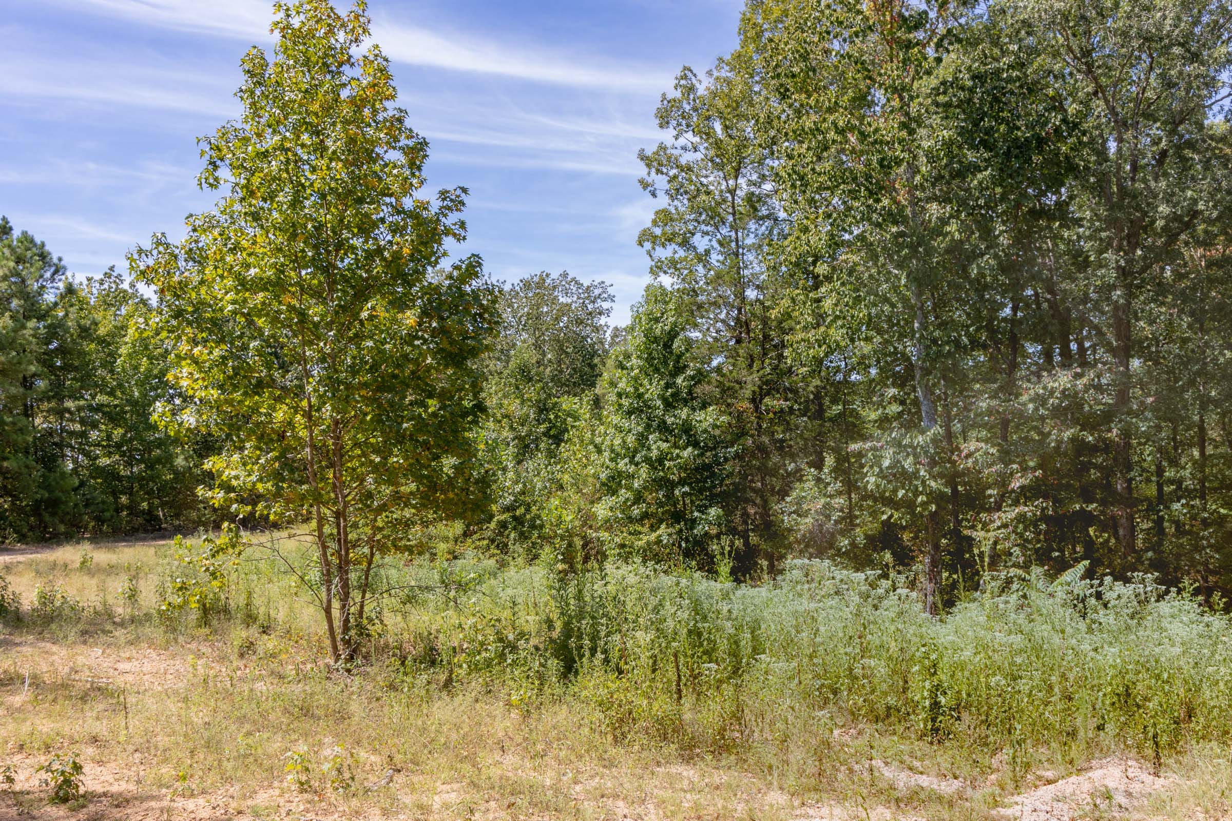 Big White Oak Tract 29 photo 7
