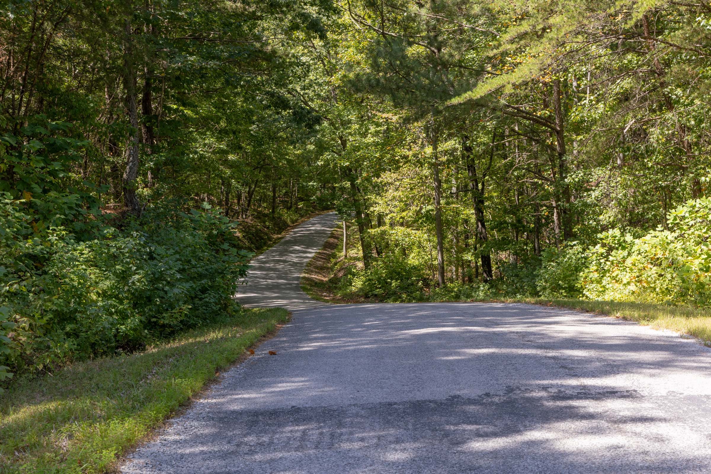 Big White Oak Tract 29 photo 6