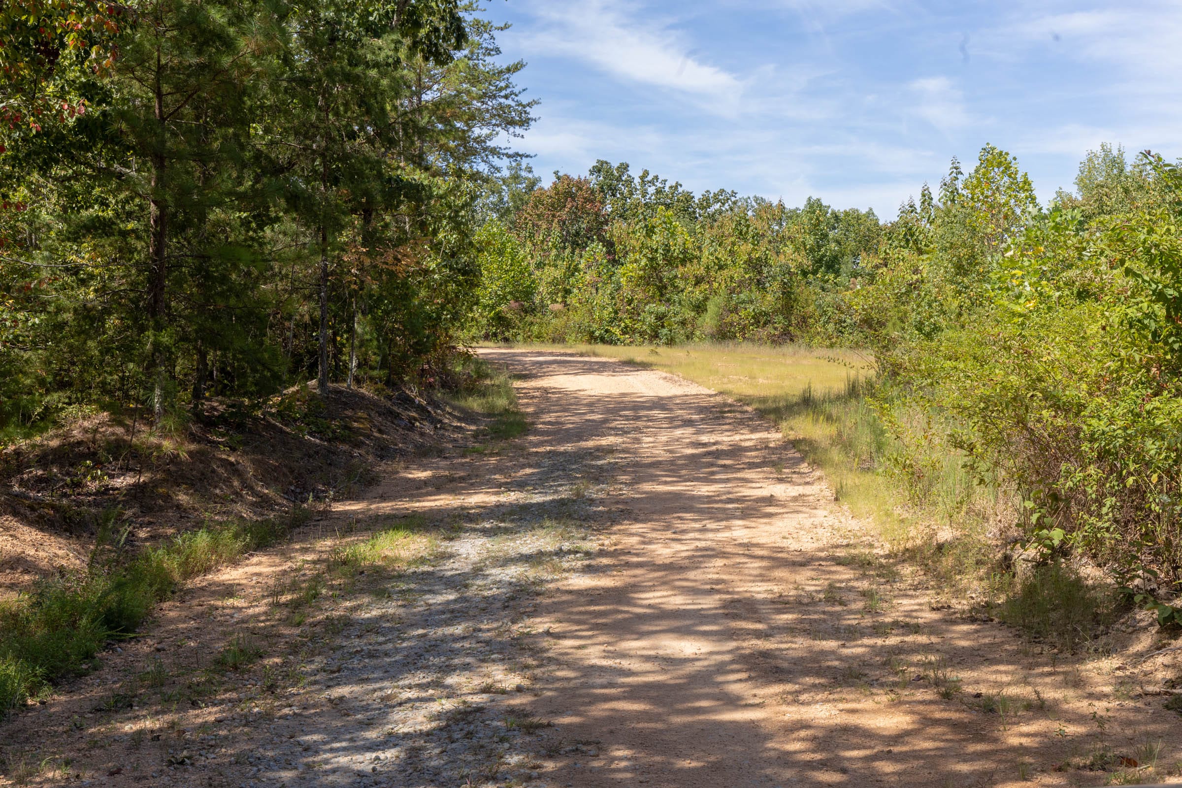 Big White Oak Tract 29 photo 5