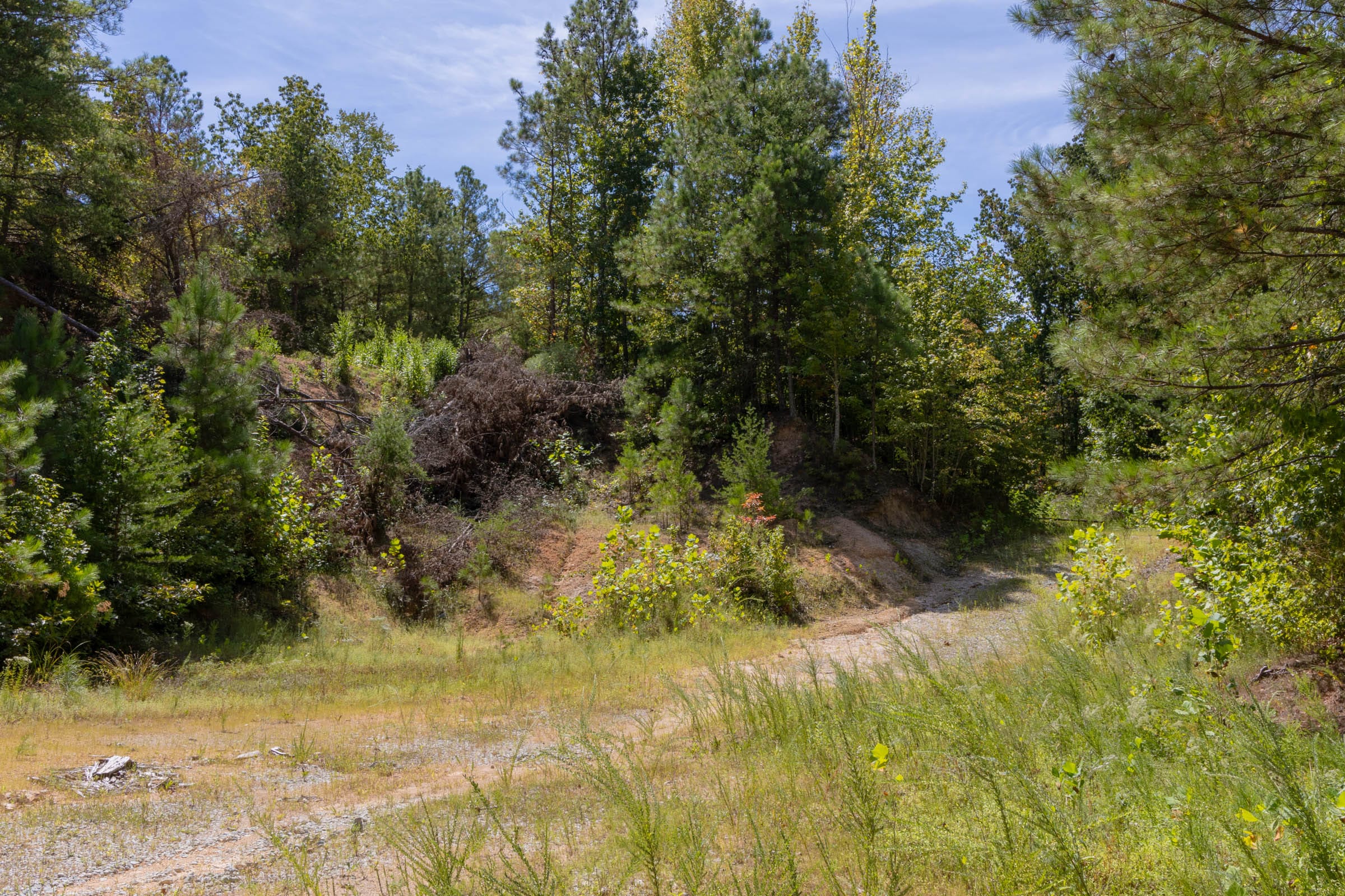 Big White Oak Tract 29 photo 4