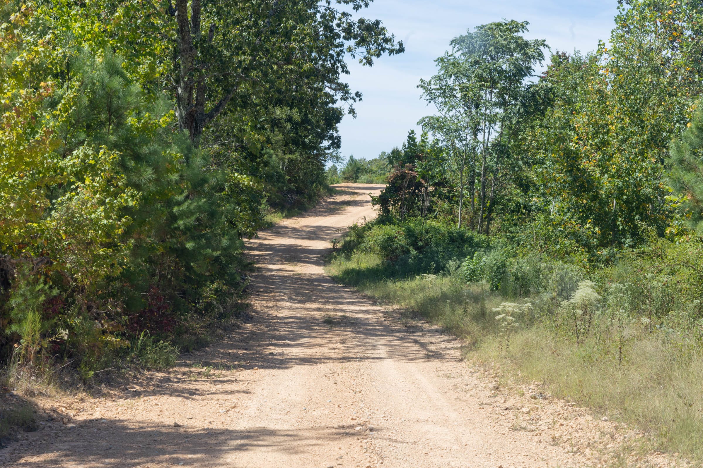 Big White Oak Tract 29 photo 2