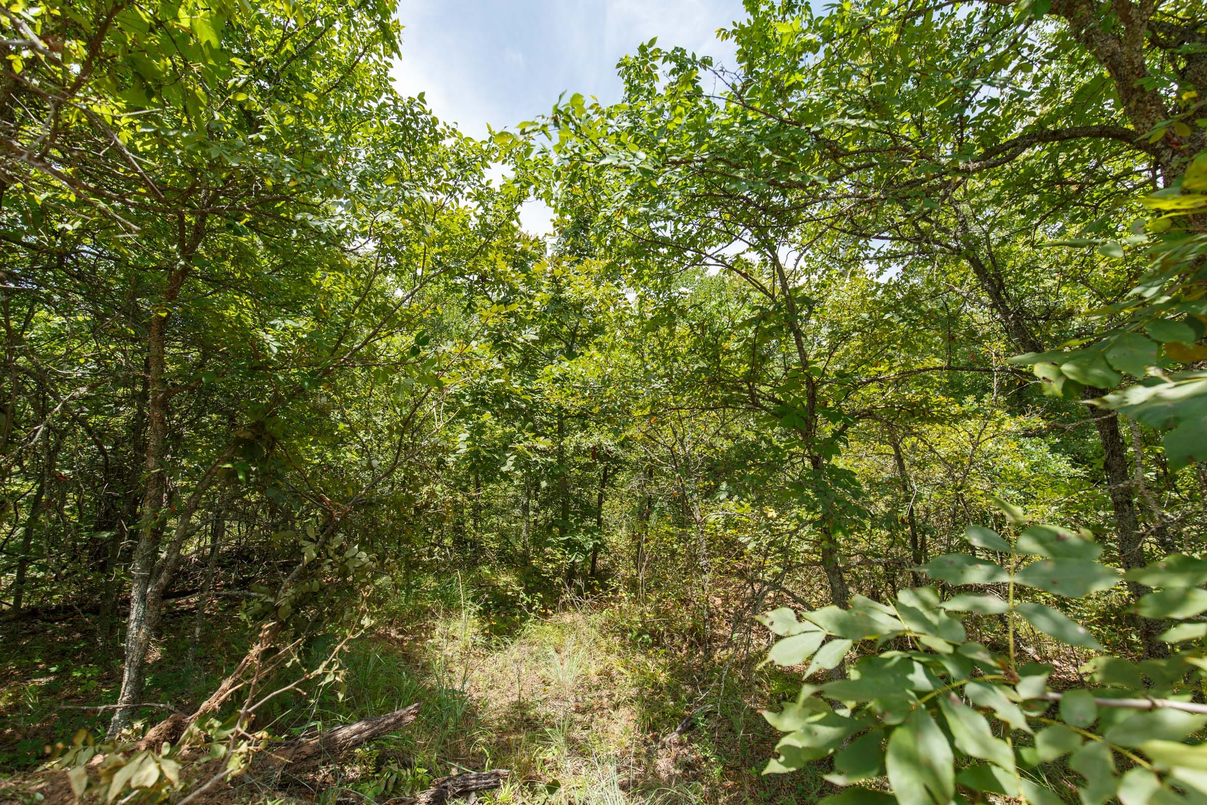 Timber Ridge Tract 10 photo 4