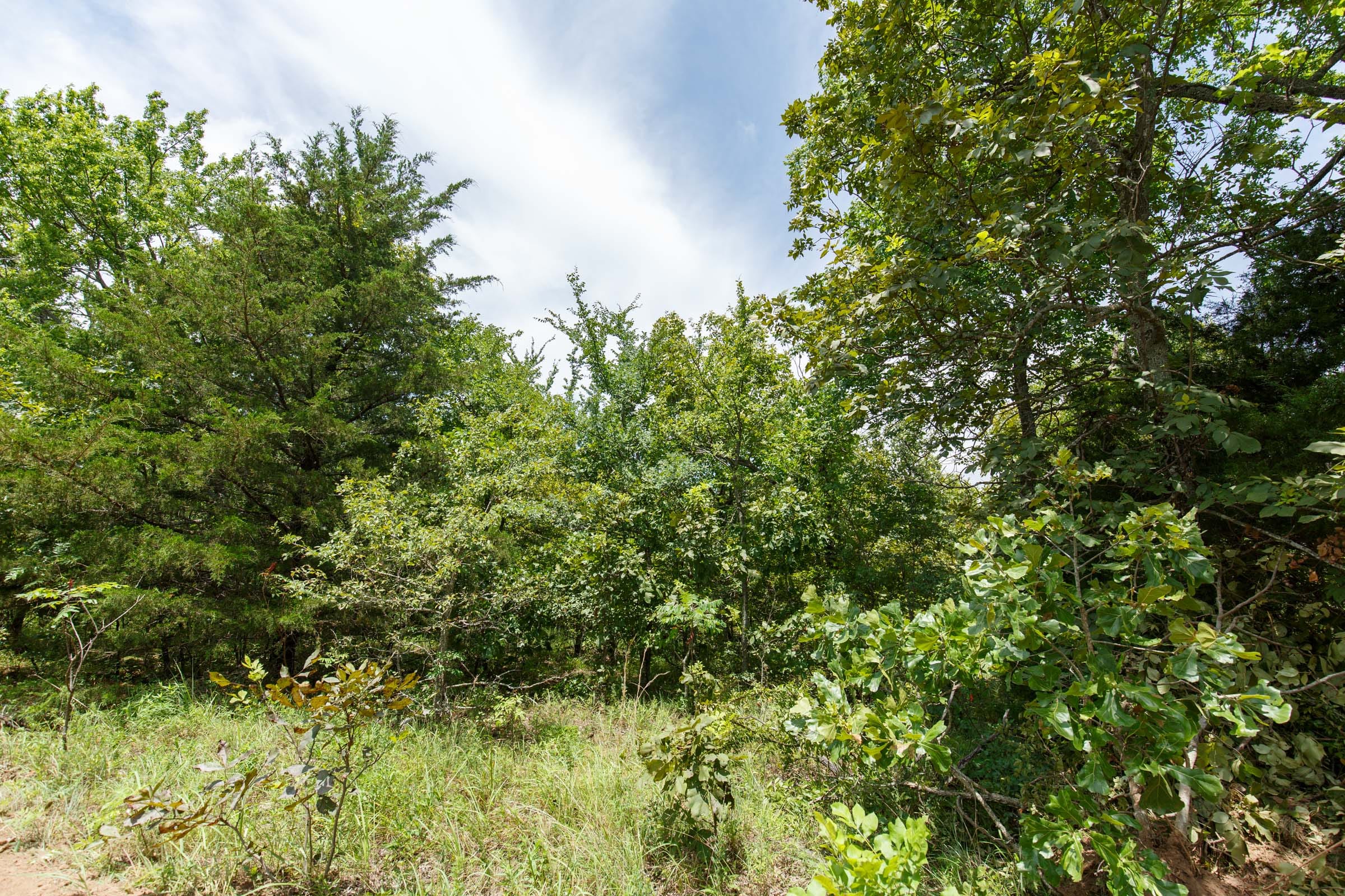Timber Ridge Tract 10 photo 3