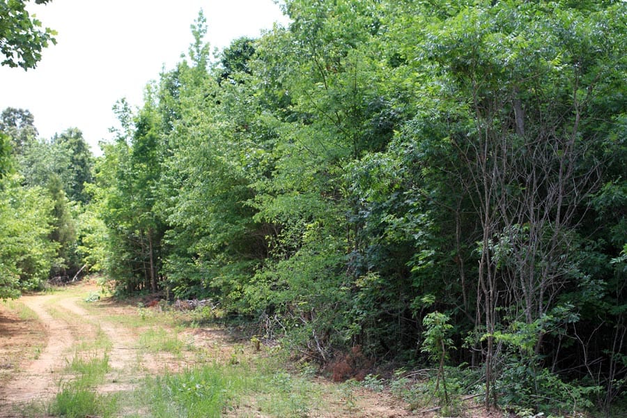 Bluebird Ranch Tract 9 photo 6
