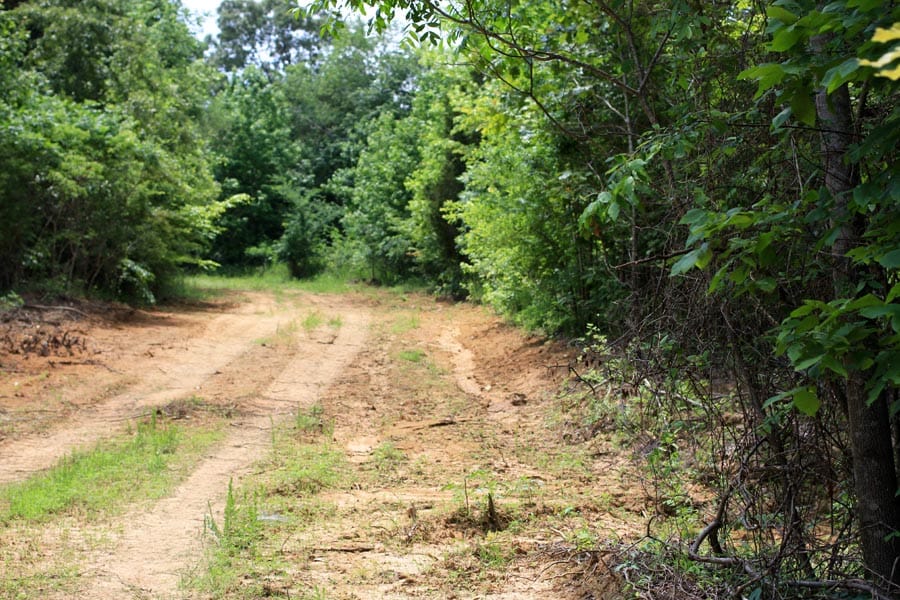 Bluebird Ranch Tract 9 photo 2