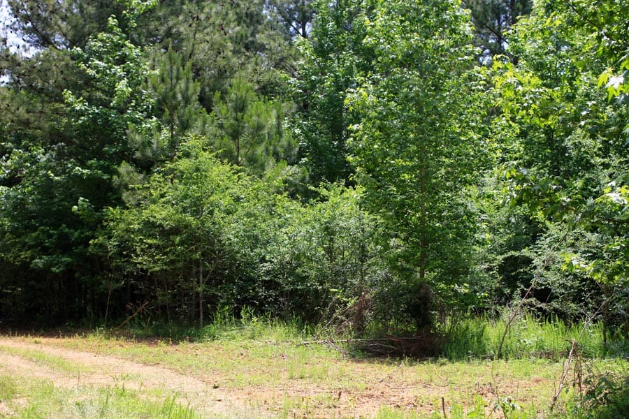 Bluebird Ranch Tract 9 photo 11