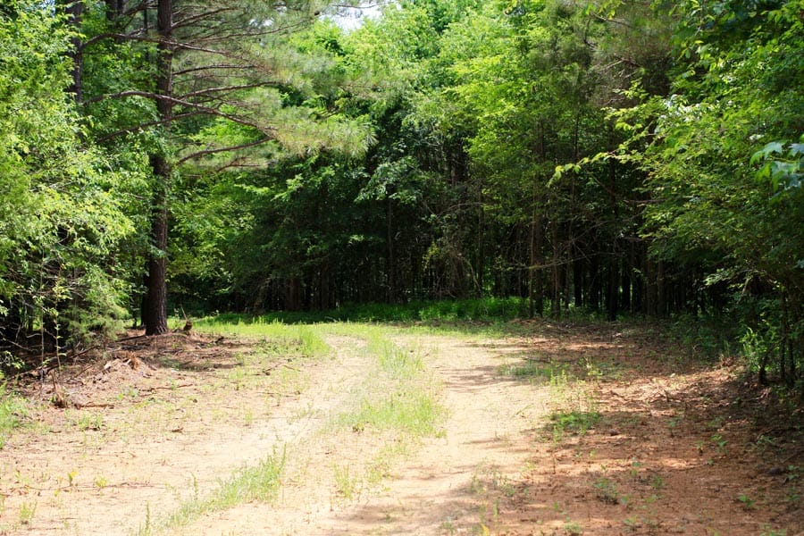 Bluebird Ranch Tract 9 photo 14