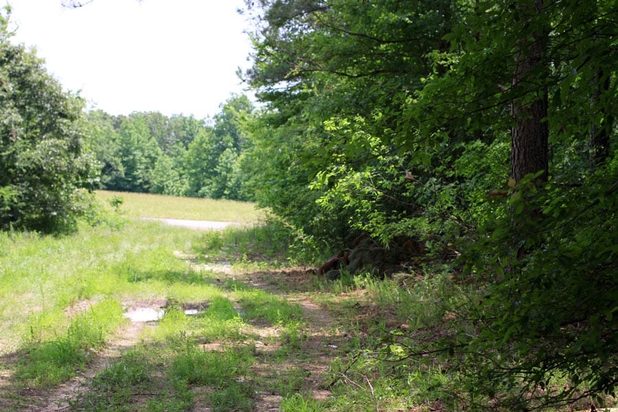 Bluebird Ranch Tract 9 photo 20