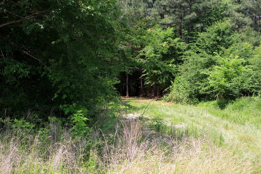 Bluebird Ranch Tract 9 photo 24