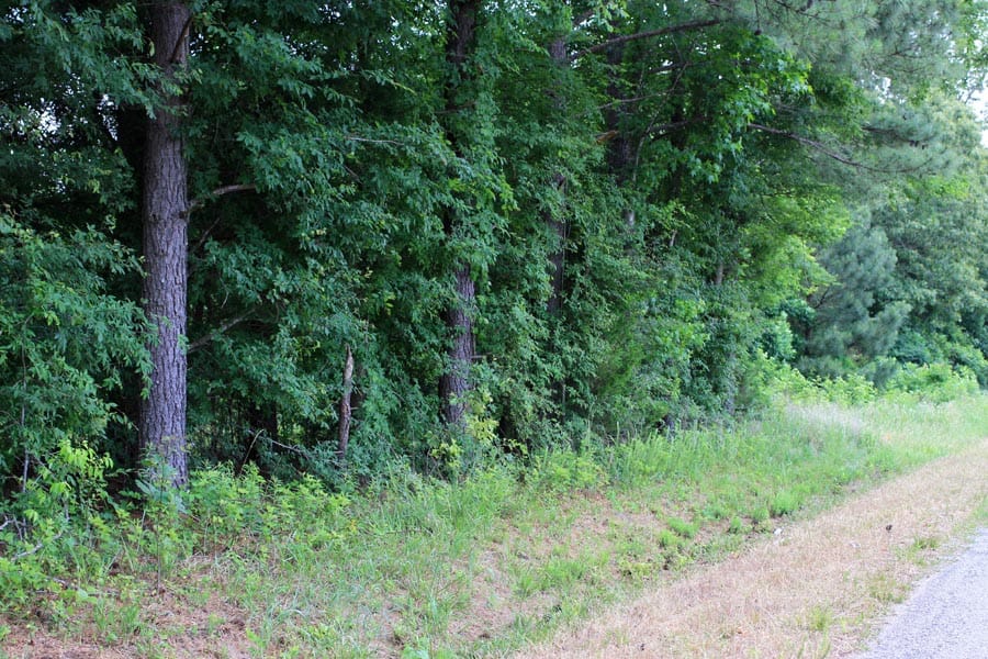 Bluebird Ranch Tract 9 photo 26