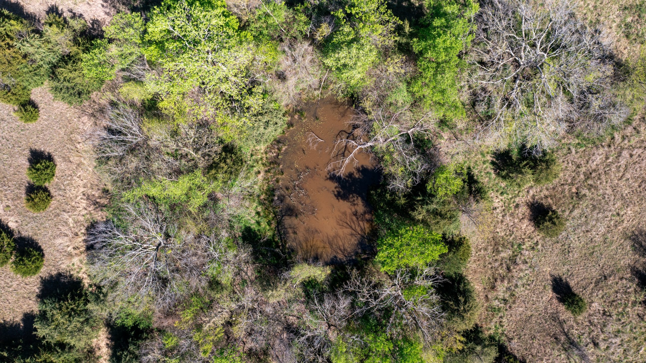 Prairie Grove photo 10