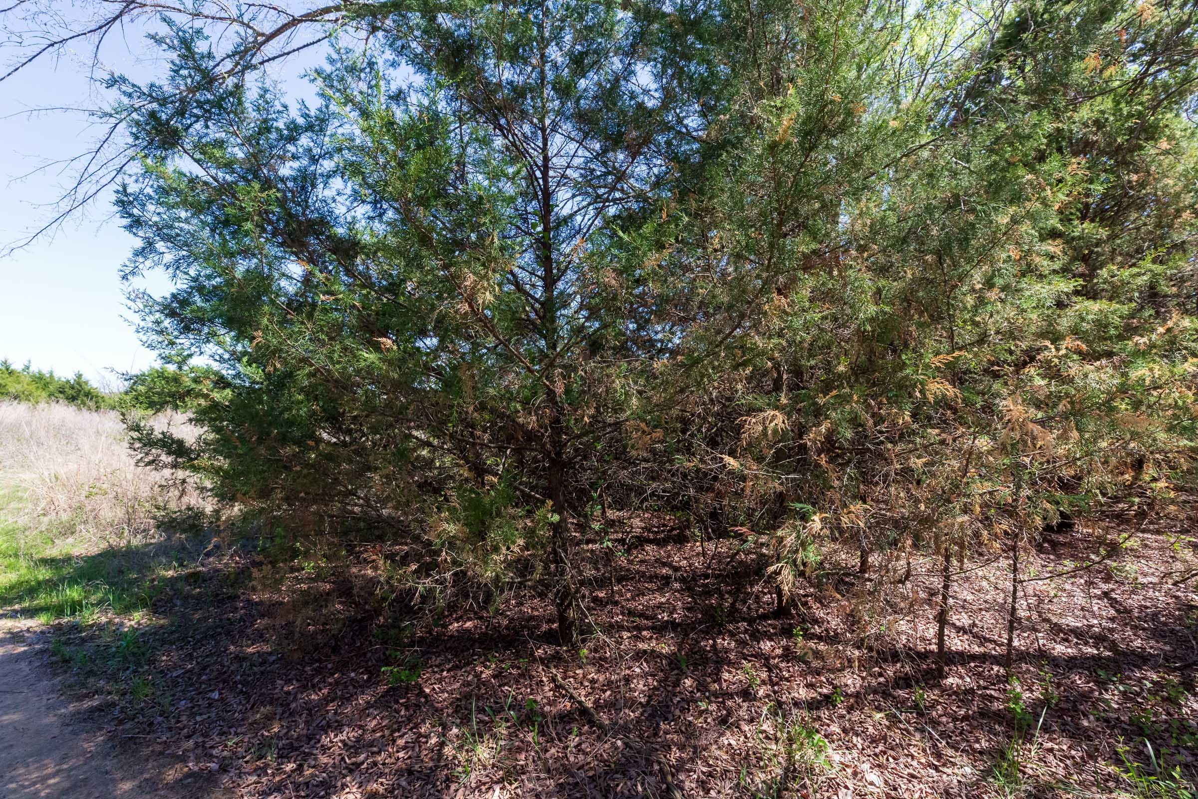Prairie Grove Tract 12 photo 8