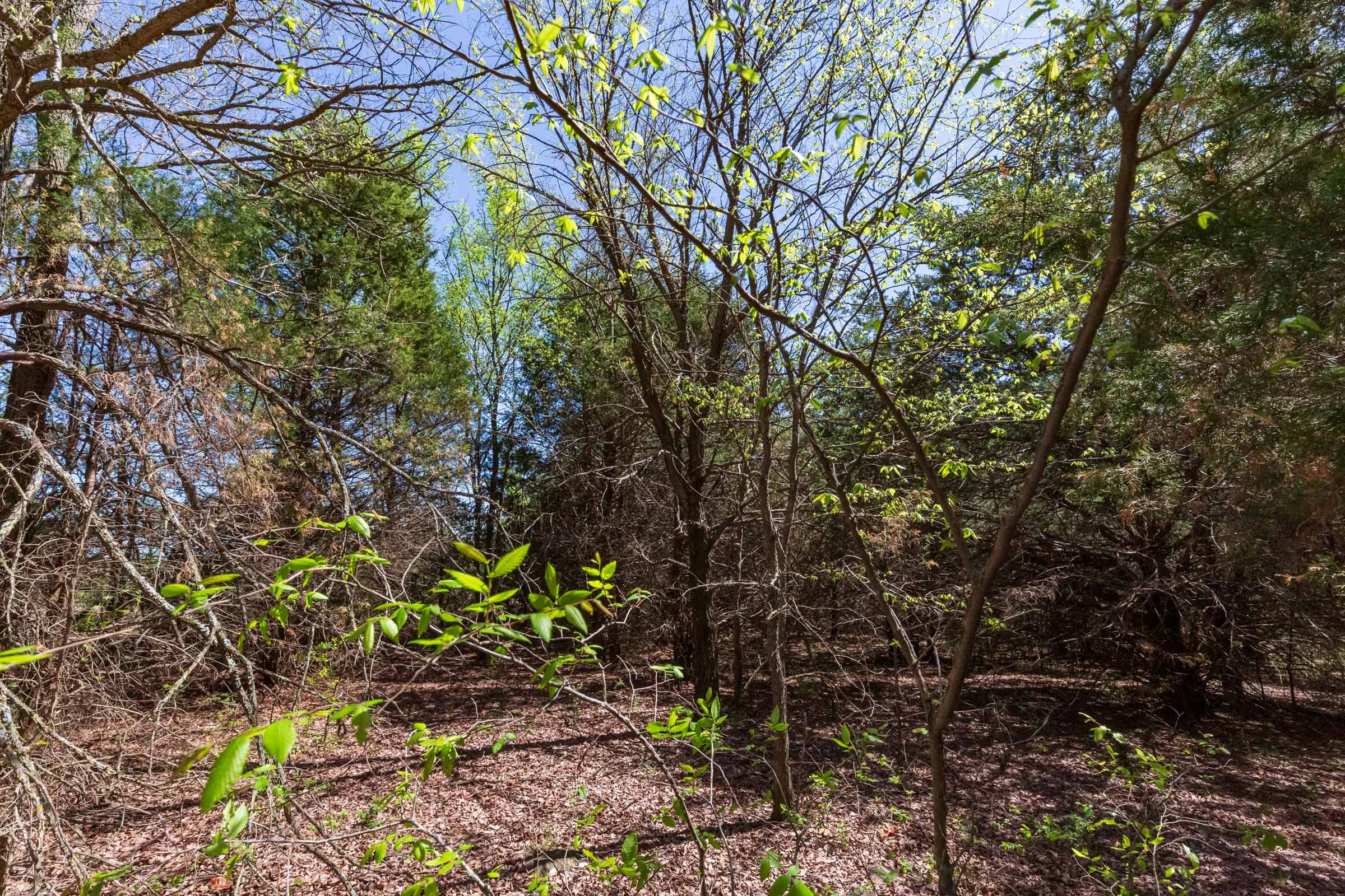 Prairie Grove Tract 12 photo 5