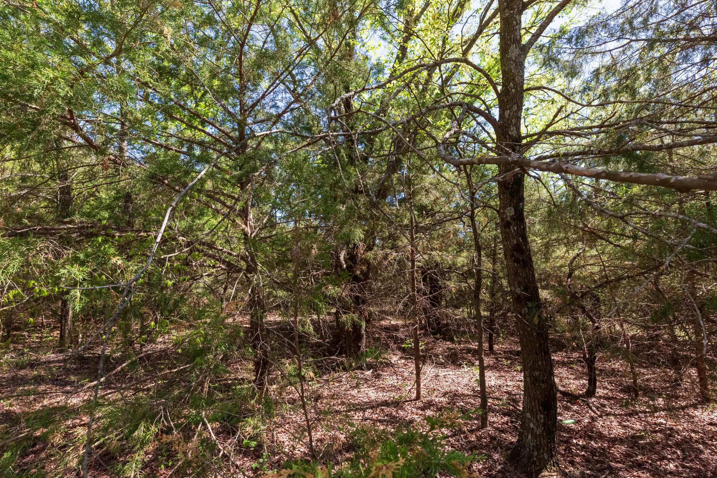 Prairie Grove Tract 12 photo 10