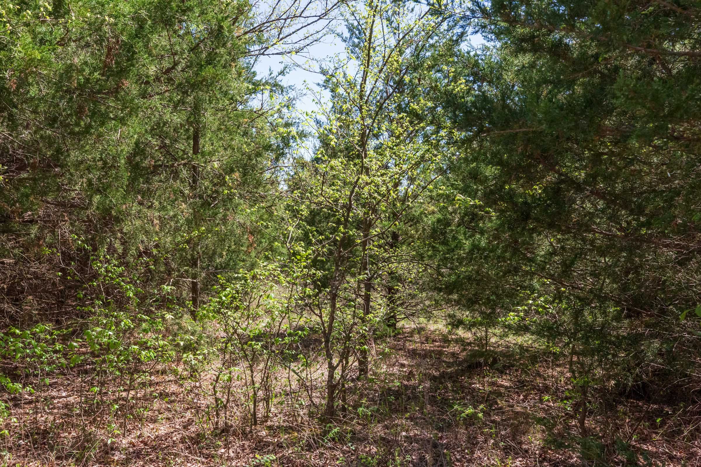 Prairie Grove Tract 12 photo 14