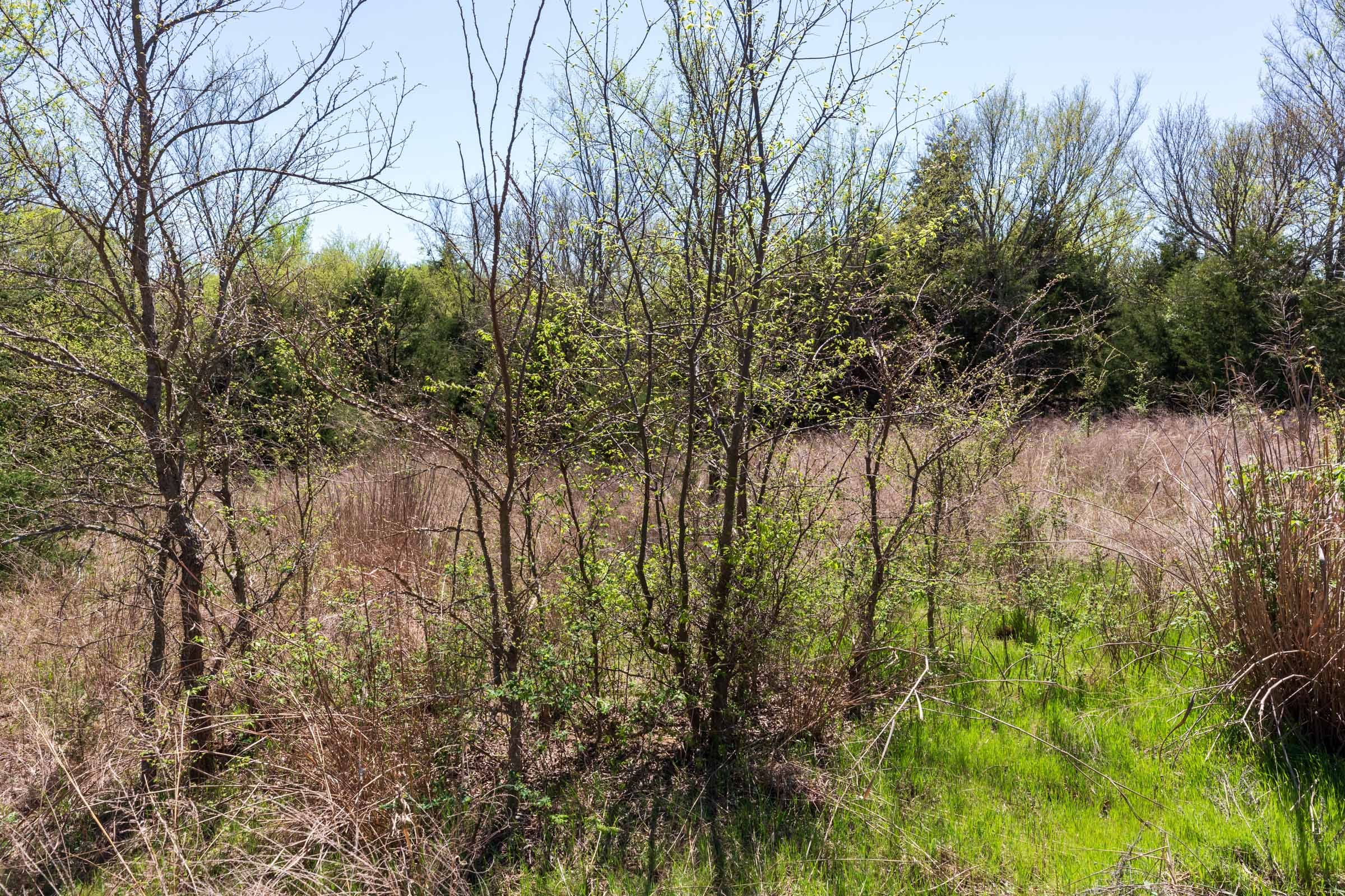Prairie Grove Tract 12 photo 16