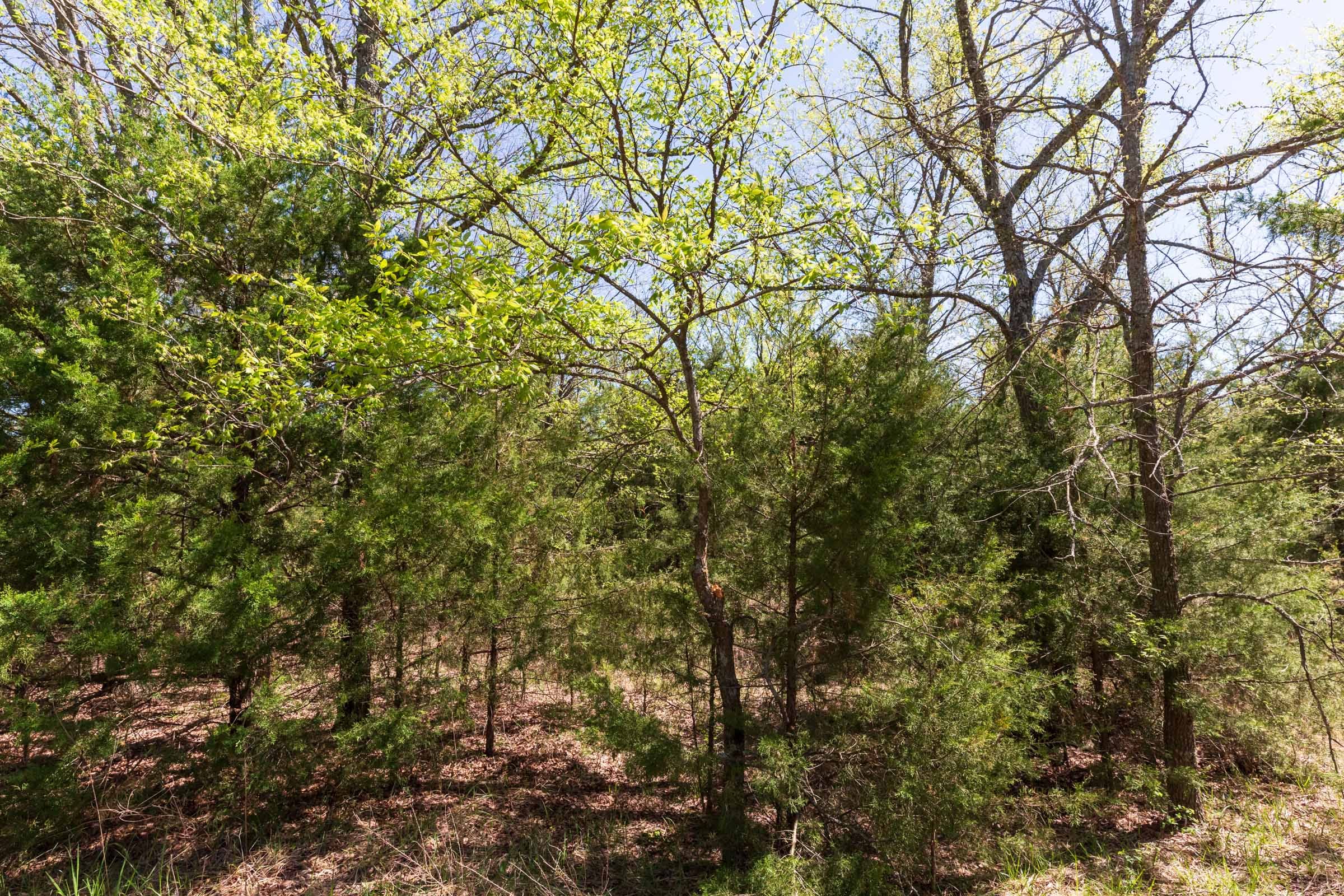 Prairie Grove Tract 12 photo 17