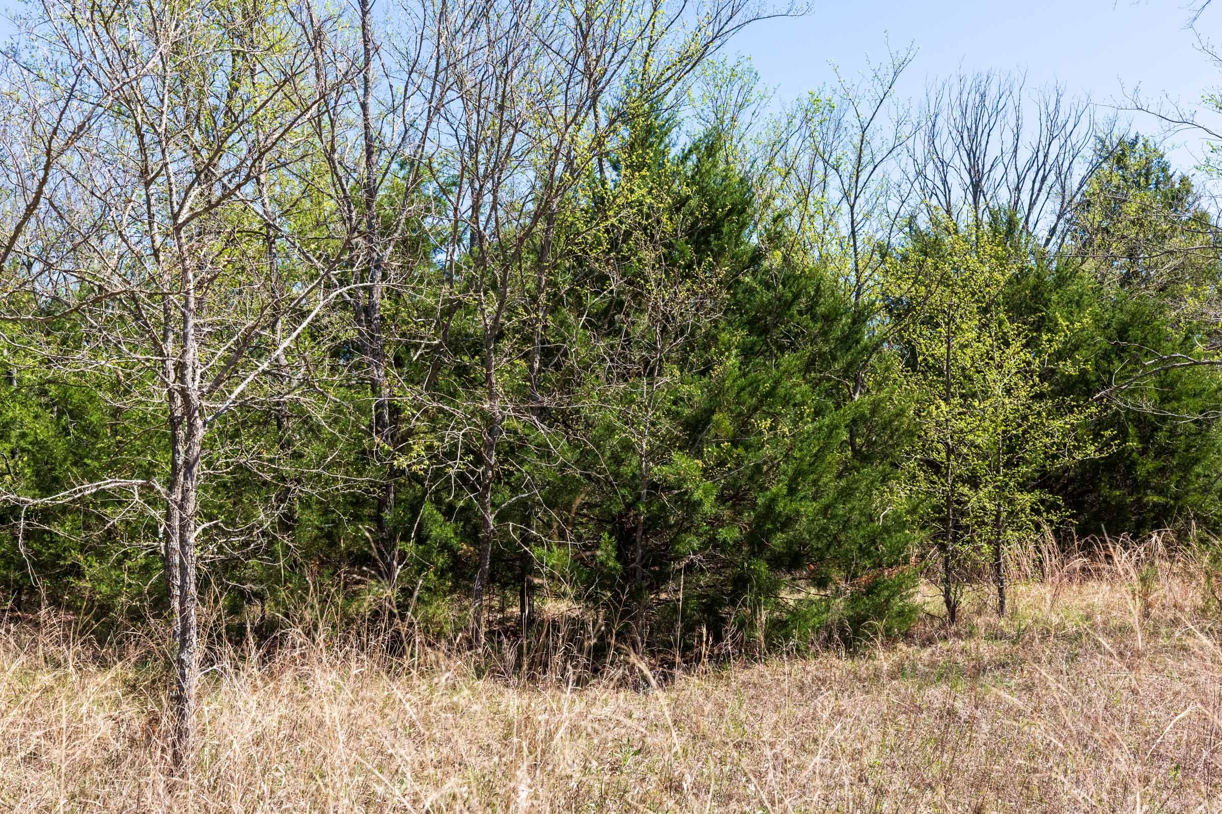 Prairie Grove Tract 12 photo 13