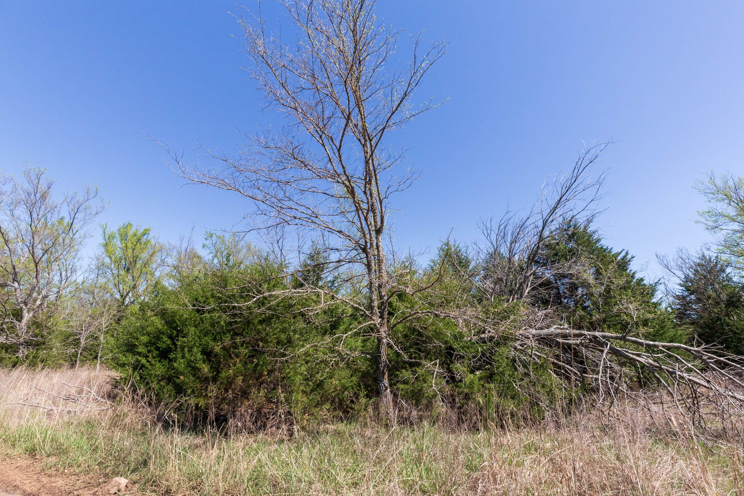 Prairie Grove Tract 12 photo 9