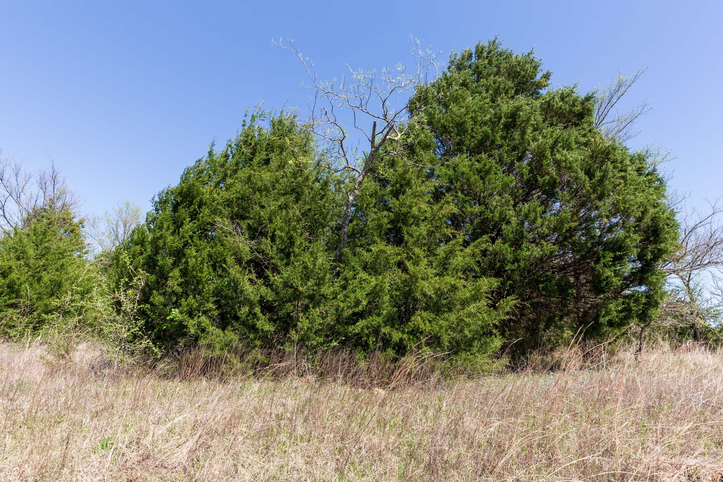 Prairie Grove Tract 12 photo 18