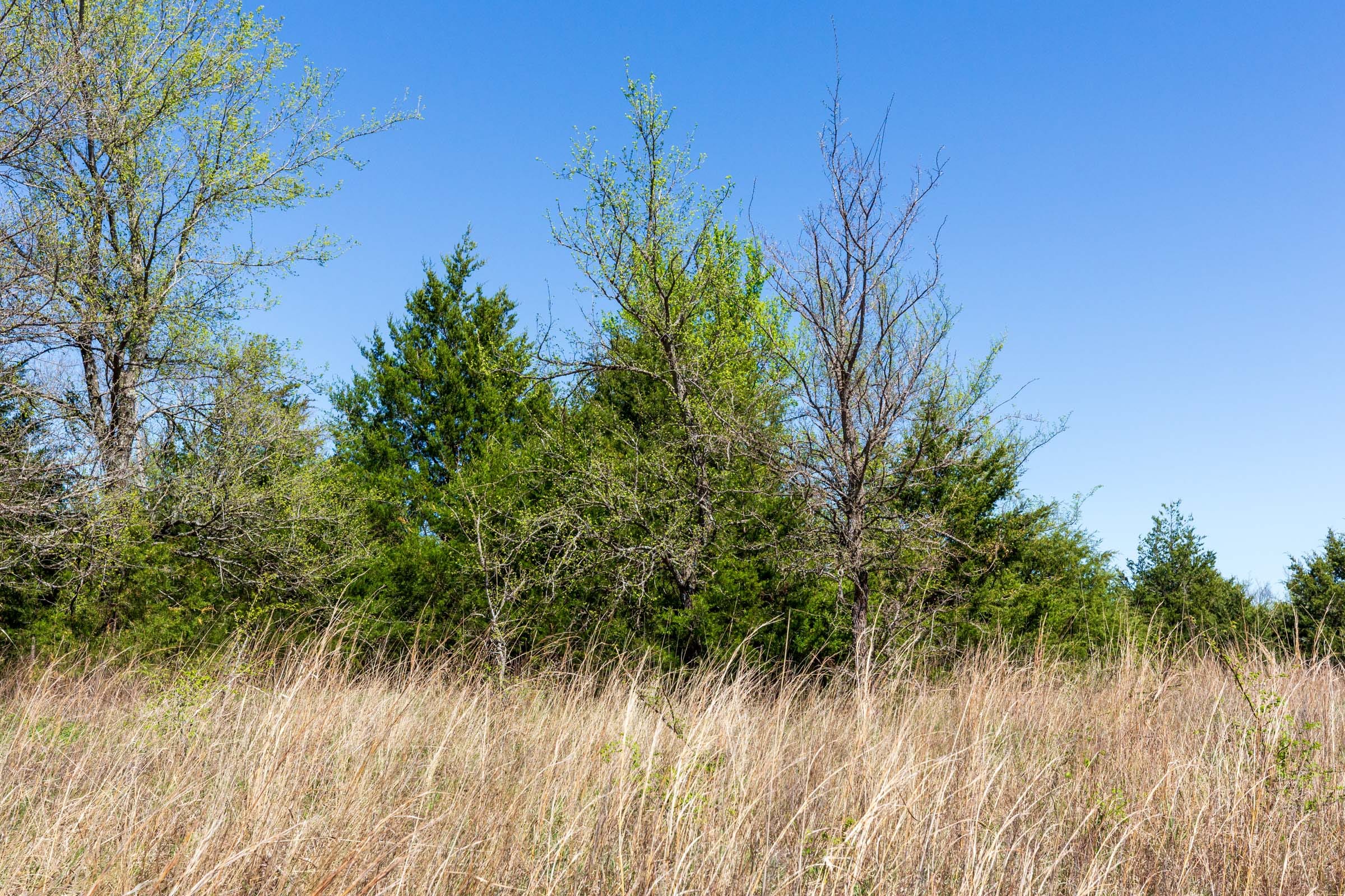 Prairie Grove Tract 12 photo 6