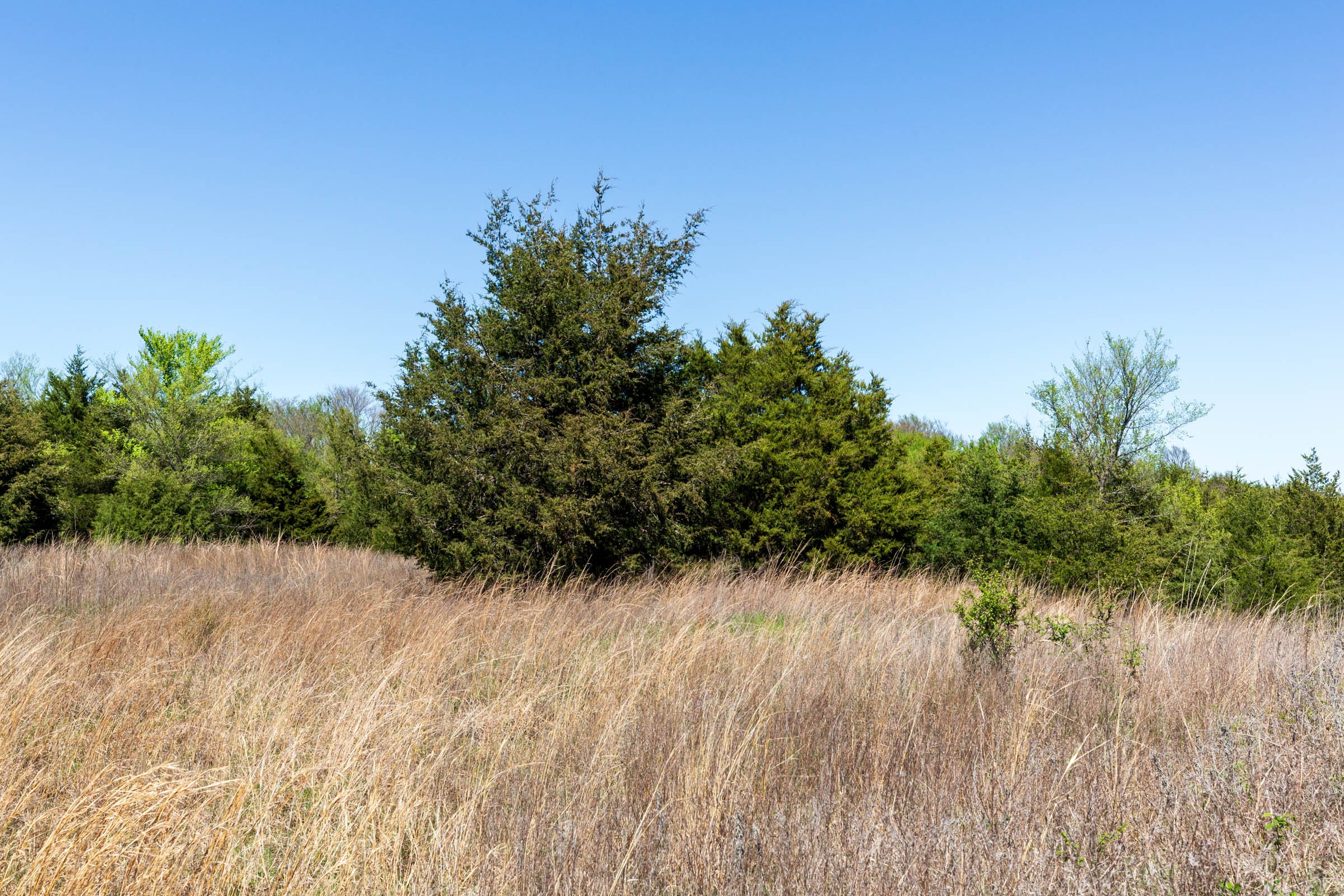Prairie Grove Tract 12 photo 19
