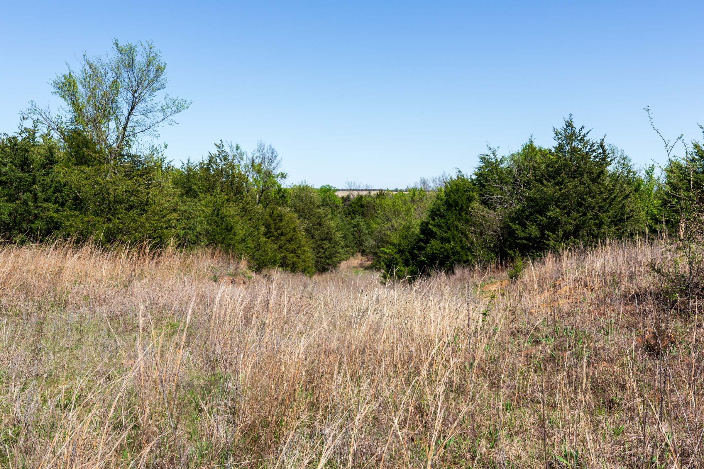 Prairie Grove Tract 12 photo 20