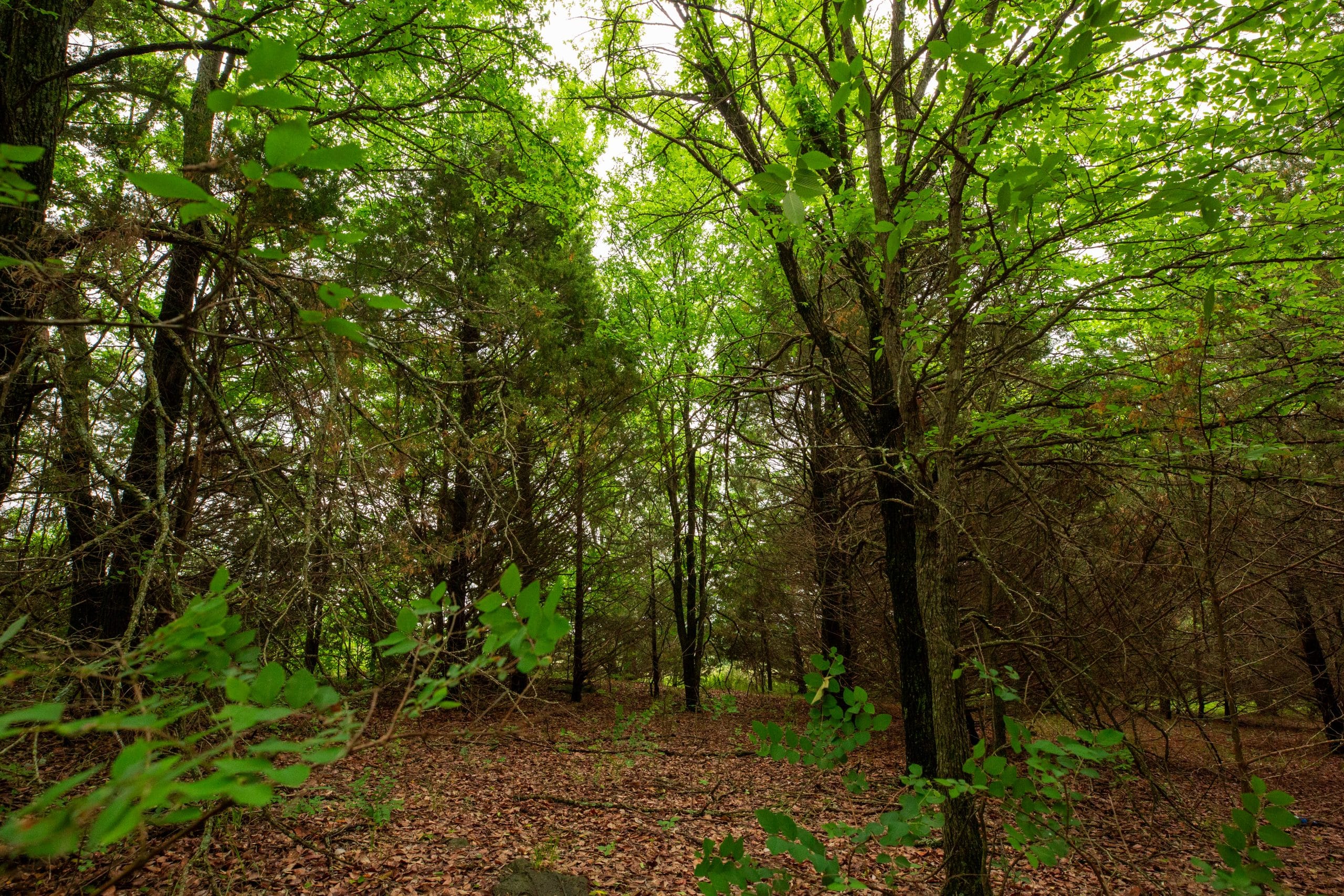 Prairie Grove Tract 12 photo 12