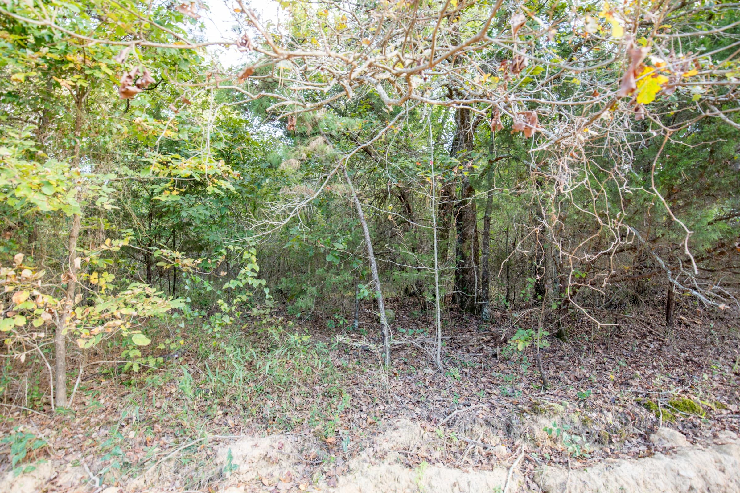 Stone Bridge Phase I Tract 39 photo 5