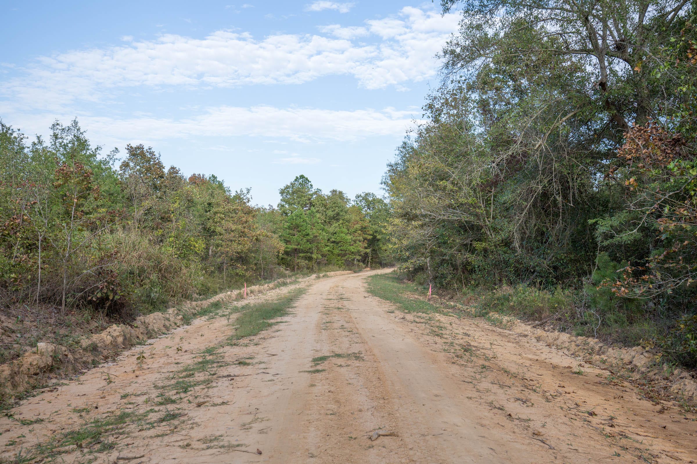 Stone Bridge Phase I Tract 39 photo 8
