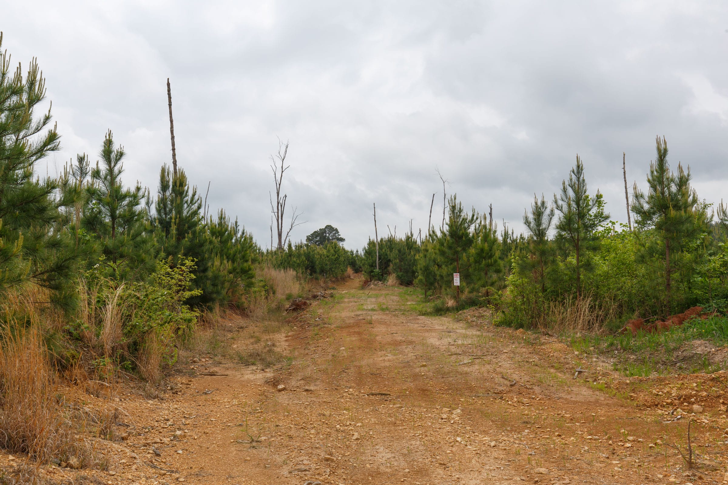 Red Barn Ranch Tract 48 photo 1
