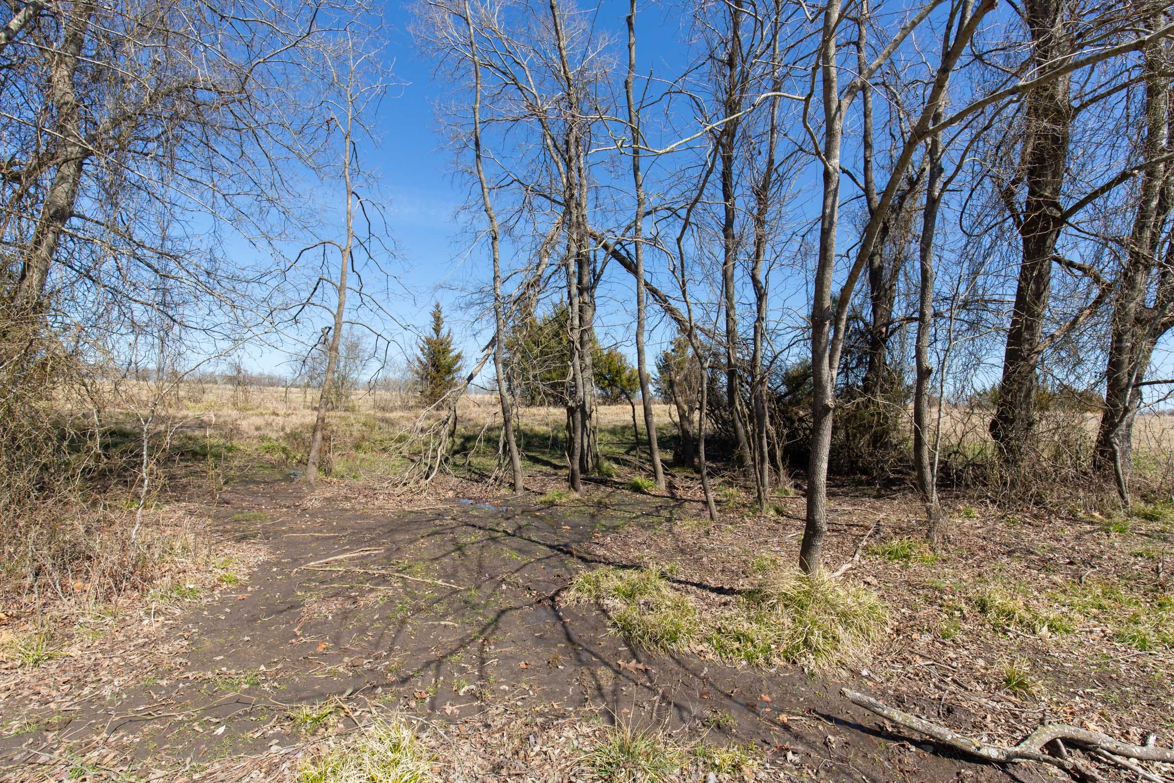 Wishing Star Ranch Tract 27 photo 5