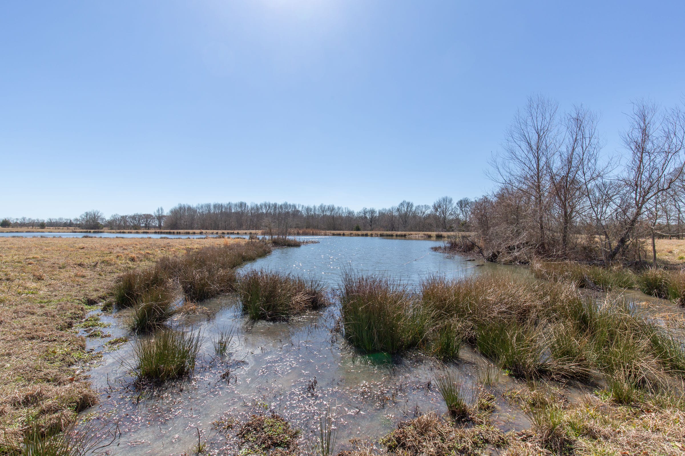 Wishing Star Ranch Tract 27 photo 4