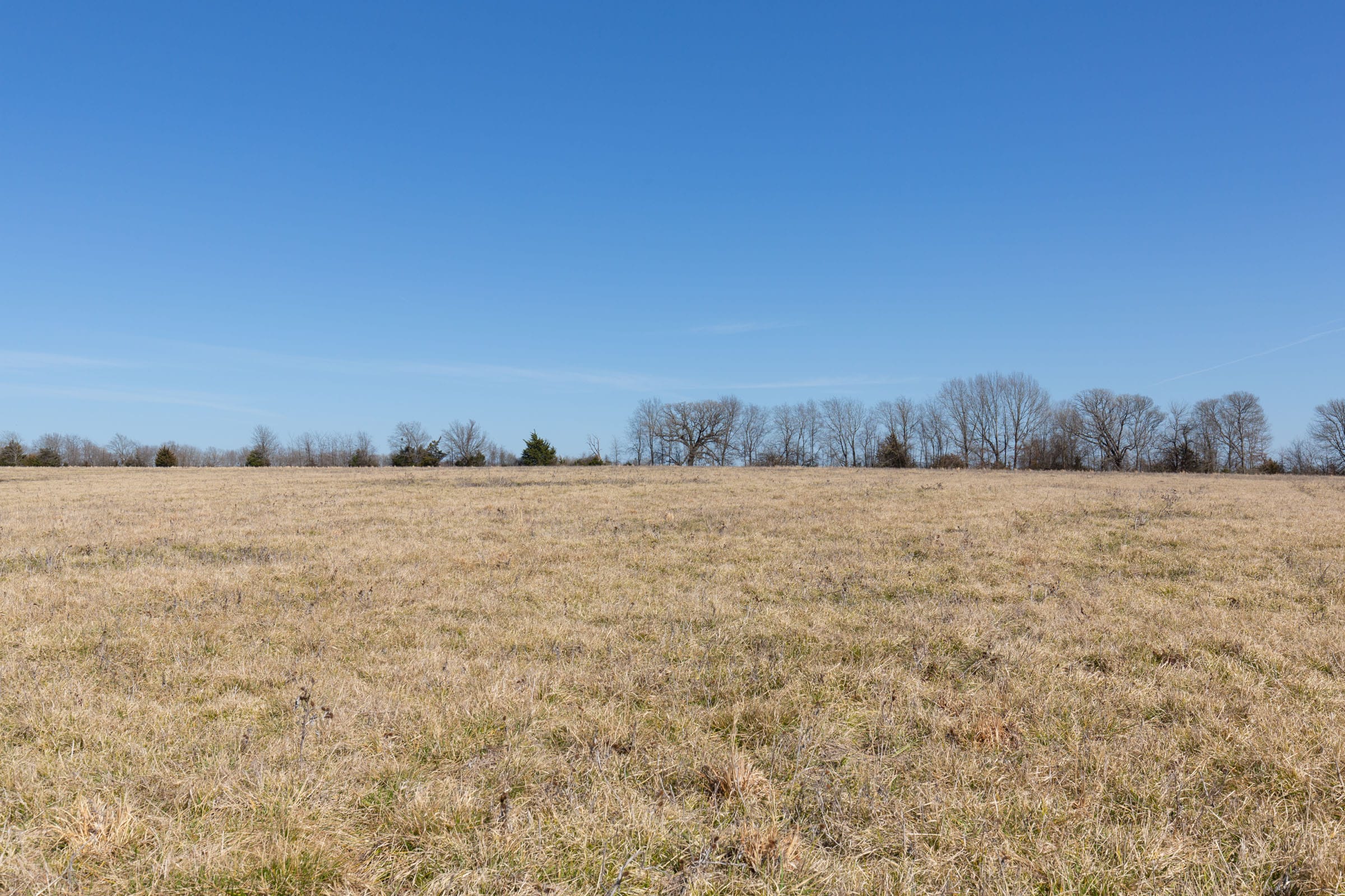 Wishing Star Ranch Tract 27 photo 8