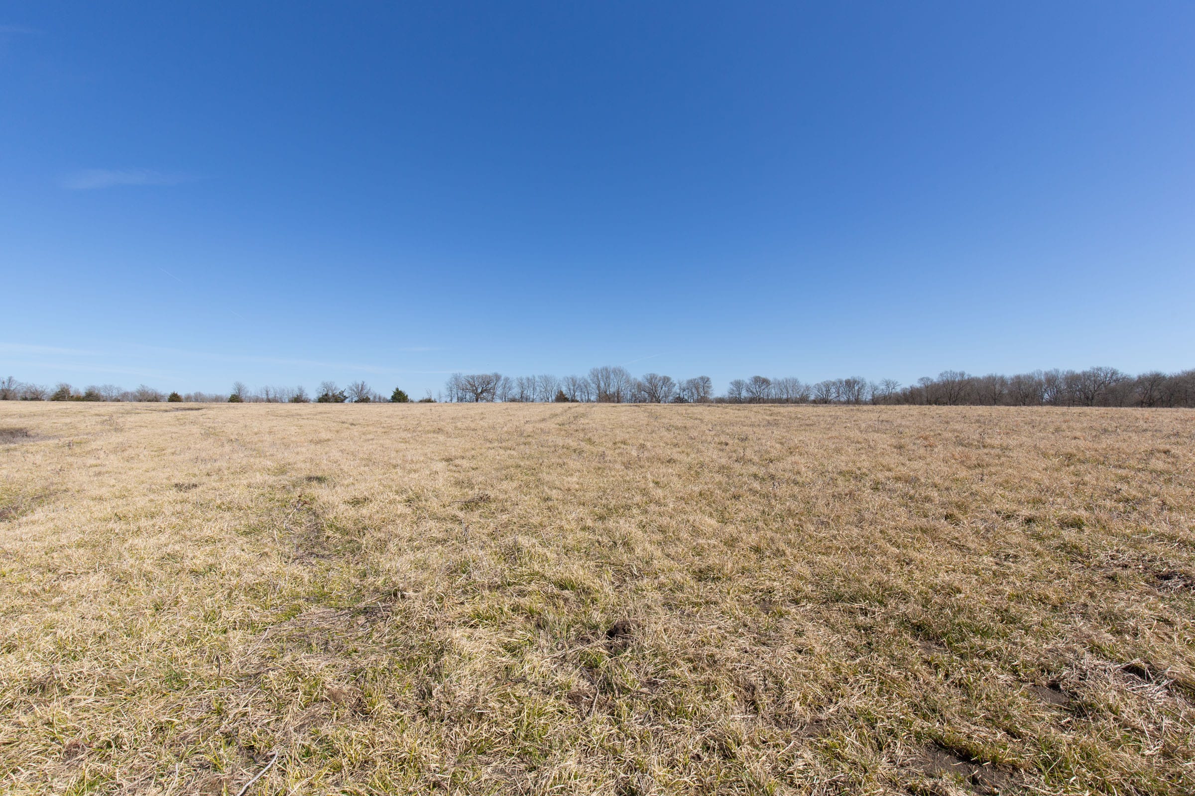 Wishing Star Ranch Tract 27 photo 12