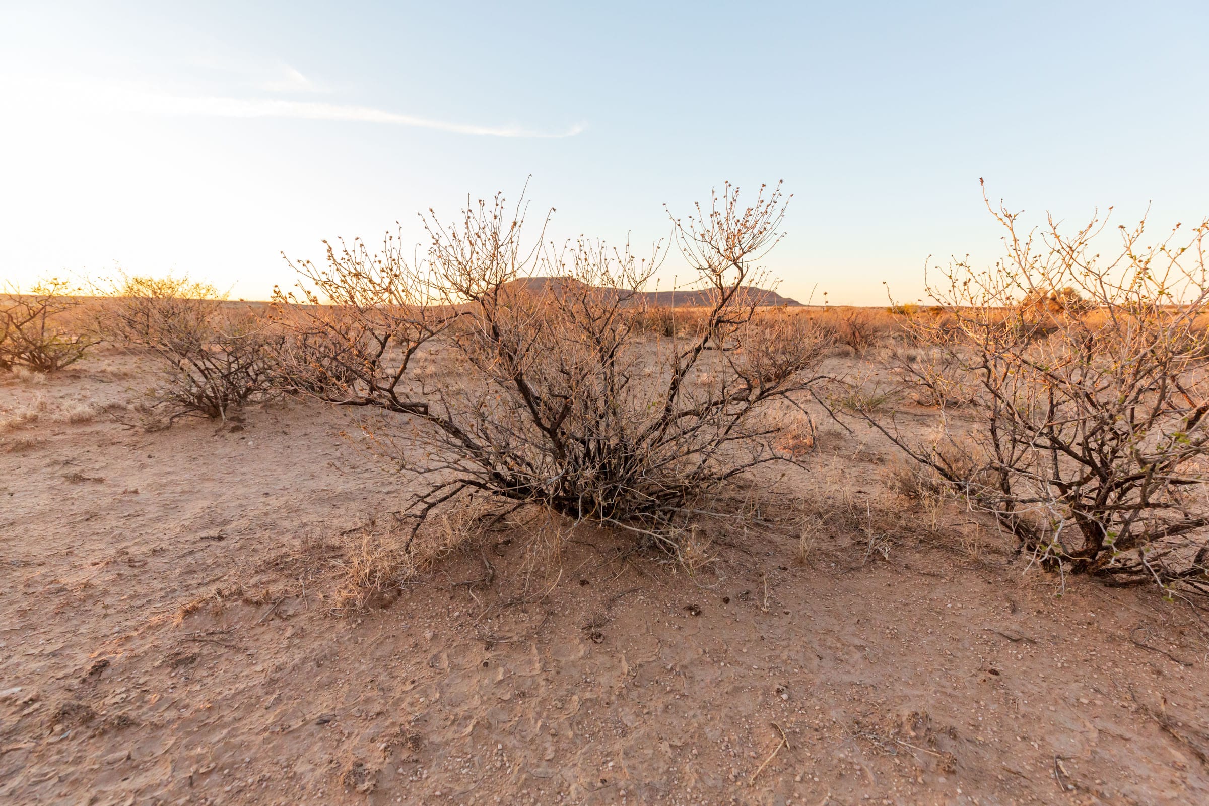 Sunrise Ranches Phase IV Tract 149 photo 2