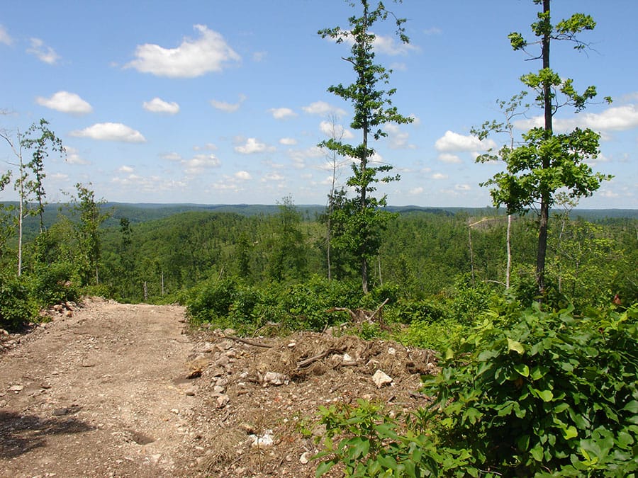 Antler Ridge Tract 27 photo 1