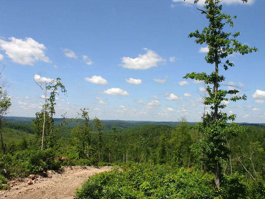 Antler Ridge Tract 27 photo 2
