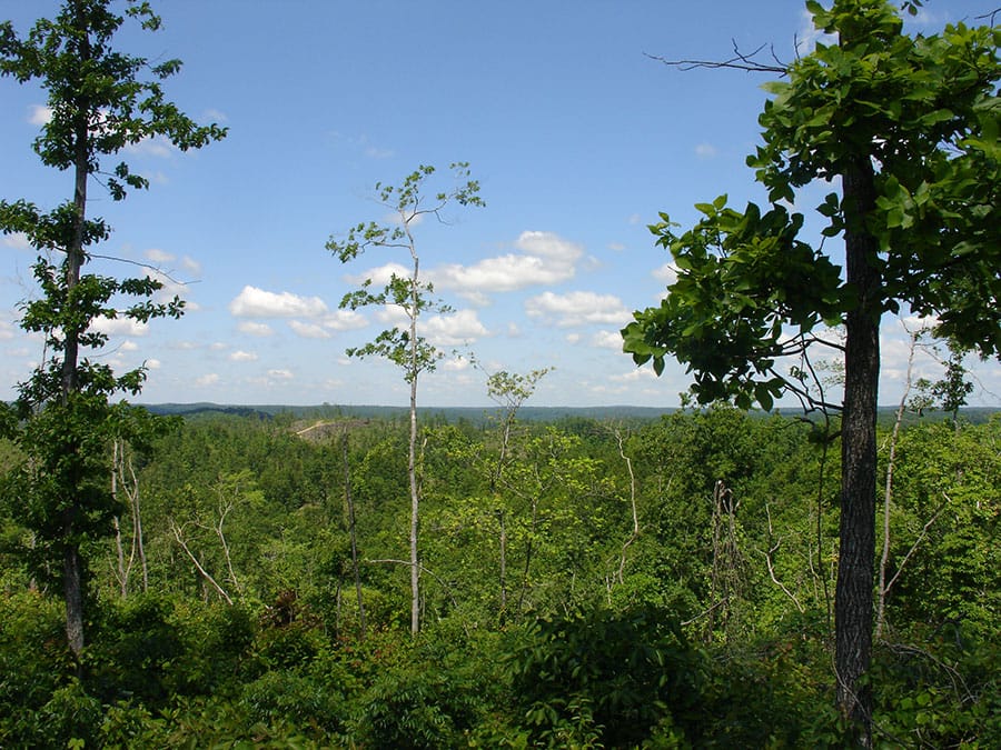 Antler Ridge Tract 27 photo 3