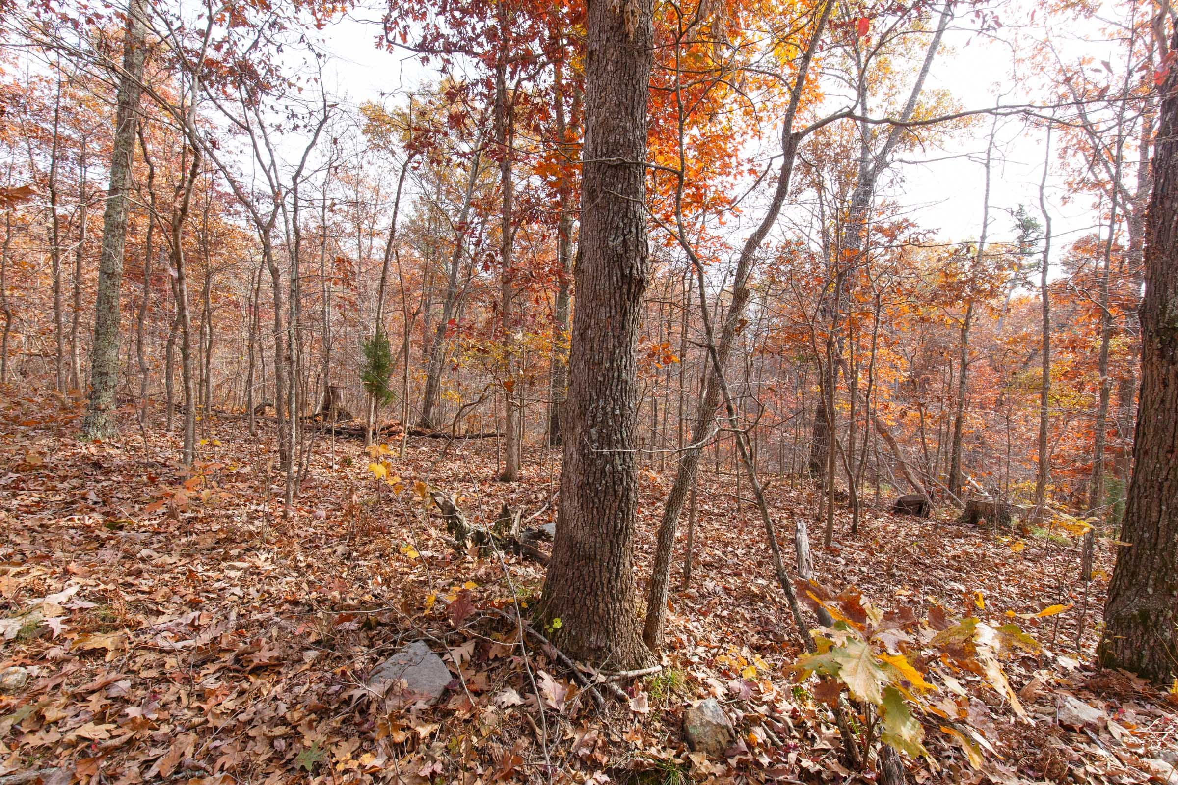 Hawkcrest Tract 46 photo 2