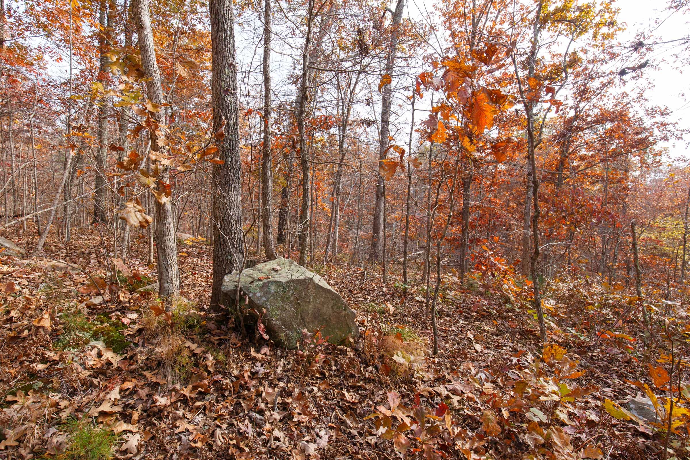 Hawkcrest Tract 46 photo 3